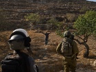 West Bank violence soars with Israeli institutions' complicity