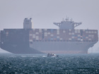 Shipping firms whipsawed by changing stances as they wait for Hormuz to reopen